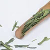 Offer Organic Green Tea Leaves Xihu Longjing Tea