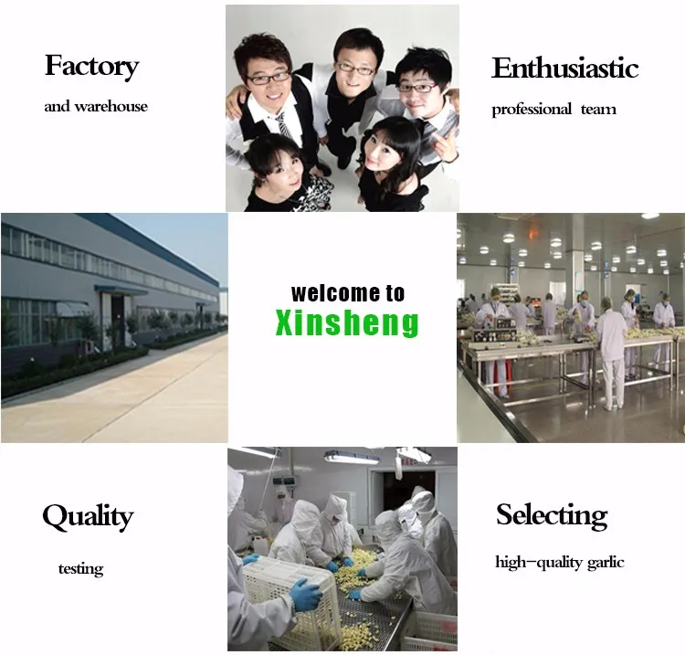 hongsuan_16.jpg