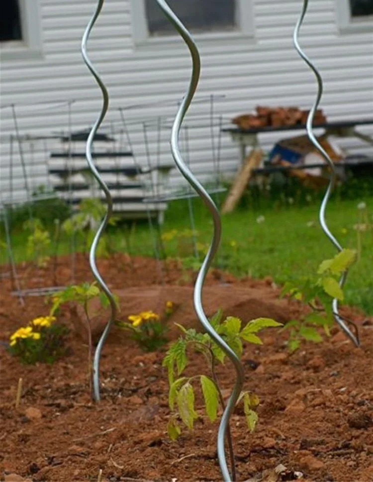 galvanized tomato spiral wire tomato support