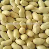 /product-detail/blanched-peanuts-kernels-144278456.html