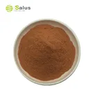 Salus Provide Natural Damiana Leaf Extract Powder