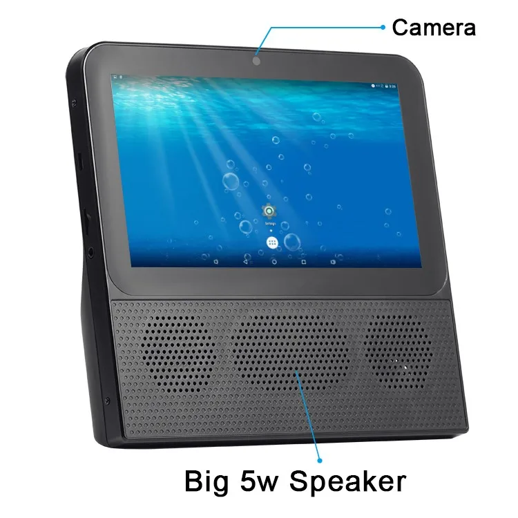 Portable Mini Sspeaker With FM Radio and Handsfree Speaker Tablet - ANKUX.COM