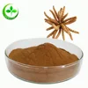 Hot sale cordyceps sinensis powder/yarchagumba powder