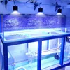 Shenzhen Factory supplier artificial coral reef aquarium for nano tank