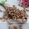 Dried Style and Bulk Packing LSKB/Light Speckled Kidney Beans