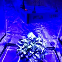 Aeroponics Dual Switches 300W Full Spectrum