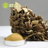 Free sample professional manufacturer maitake fungi frondosa mushroom growing with PDF approval