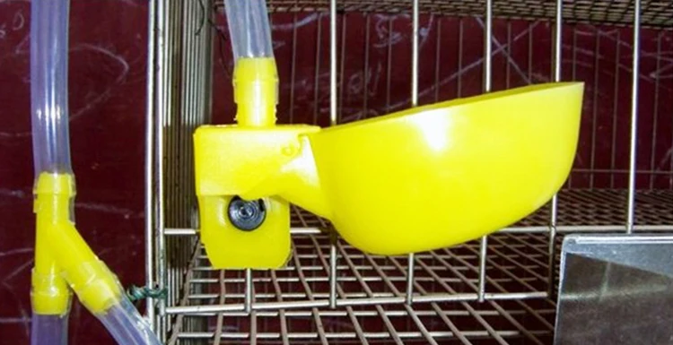 plastic quail drinker