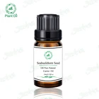 Chinese supplier edible seabuckthorn seed oil seabuckthorn fruit oil in bulk sale for vegetable cooking oil