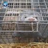Humane Live Catch Animal Mink Trap Cage Galvanized Surface Pest Control (Manufacture)