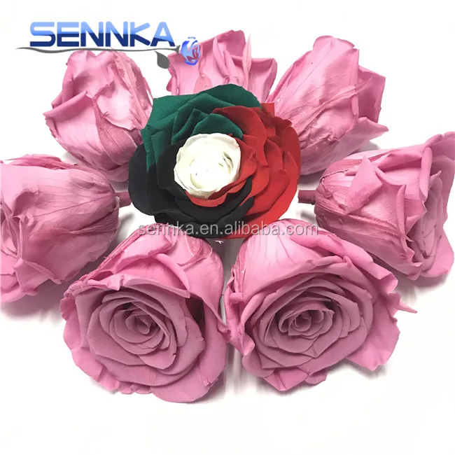 pink single rose wholesale fresh rose flower high quality