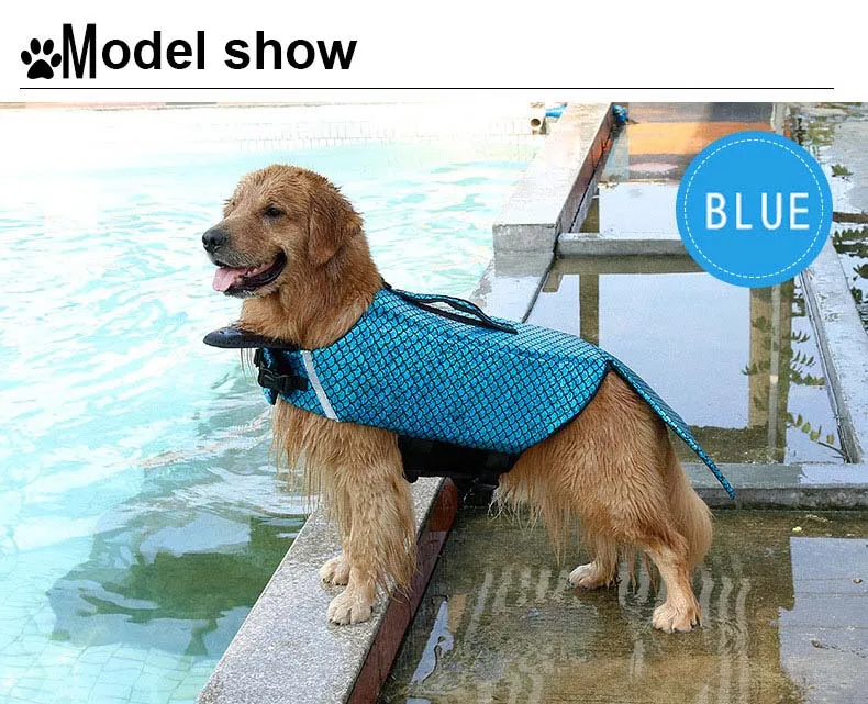 5968563263_1832331281