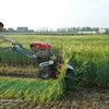 /product-detail/top-quality-mini-reaper-rice-and-wheat-combine-harvester-60229325283.html