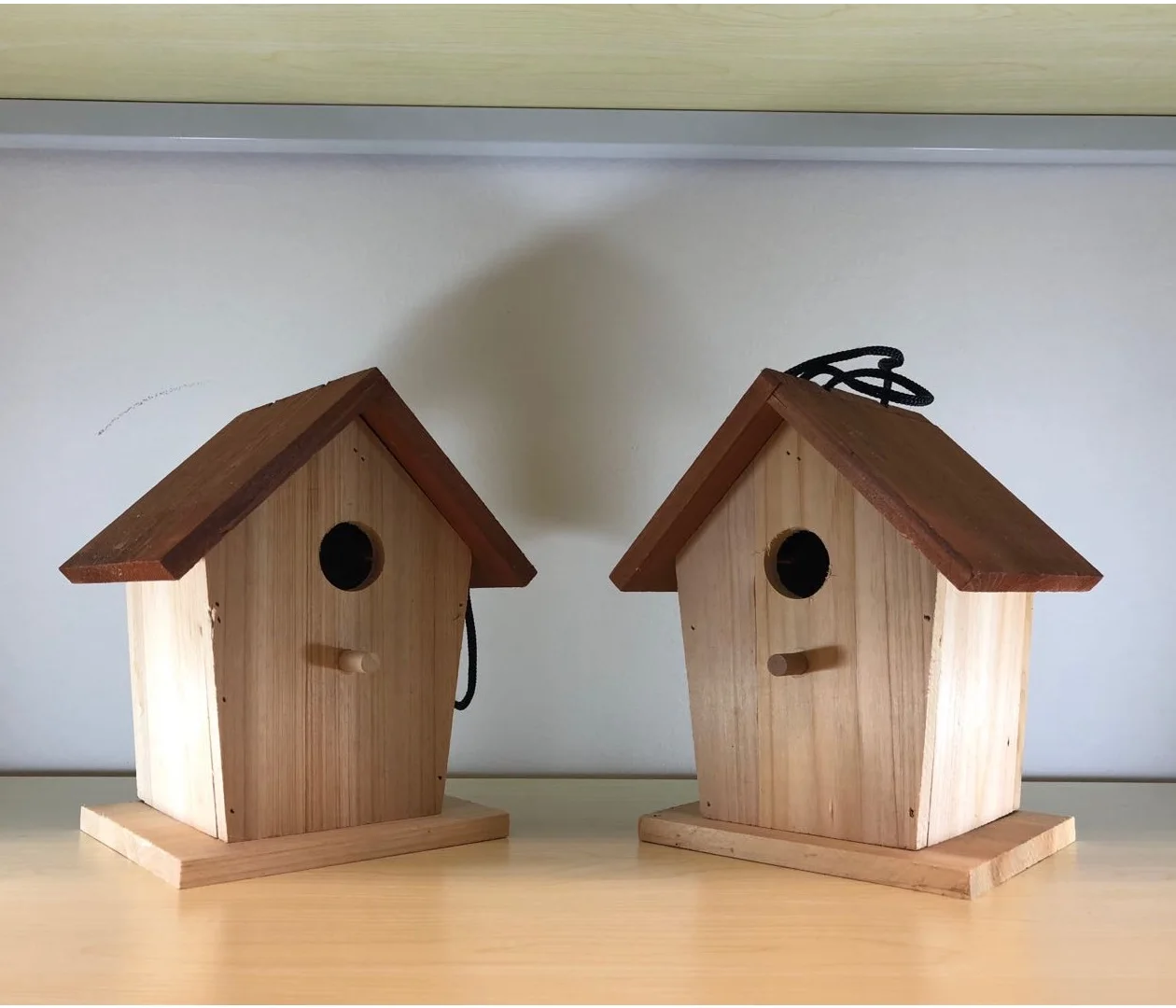 NEST-0020A.jpg
