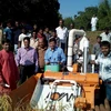 Agriculture machinery mini rice combine harvester