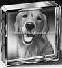 animal photo 3D engraving crystal (professional manufacturer)