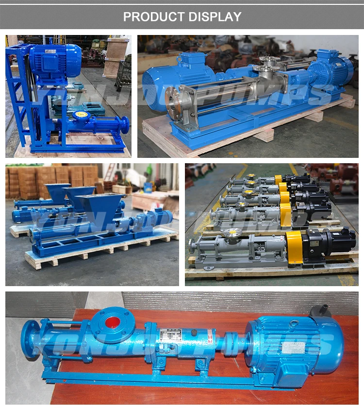 G Series Rotor Hydraulic Electric Slurry Pump/mono Screw Pump For High