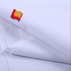 Non Woven Spun Bonded Agriculture Fabrics