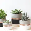 Cylinder Concrete Planter Round Succulents Pots Cement Plant Pot Cacti Decor Housewarmg Gift