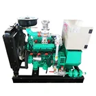 CHP/CNG /Biogas power plant /gas generator plant10-500kW