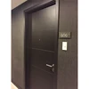 2019 Dark Coffee Painting Metal Frame Wooden Door Flush Door For Interior and Exterior Door