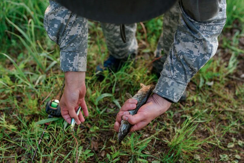 UTB8AsVqcdoSdeJk43Owq6ya4XXay