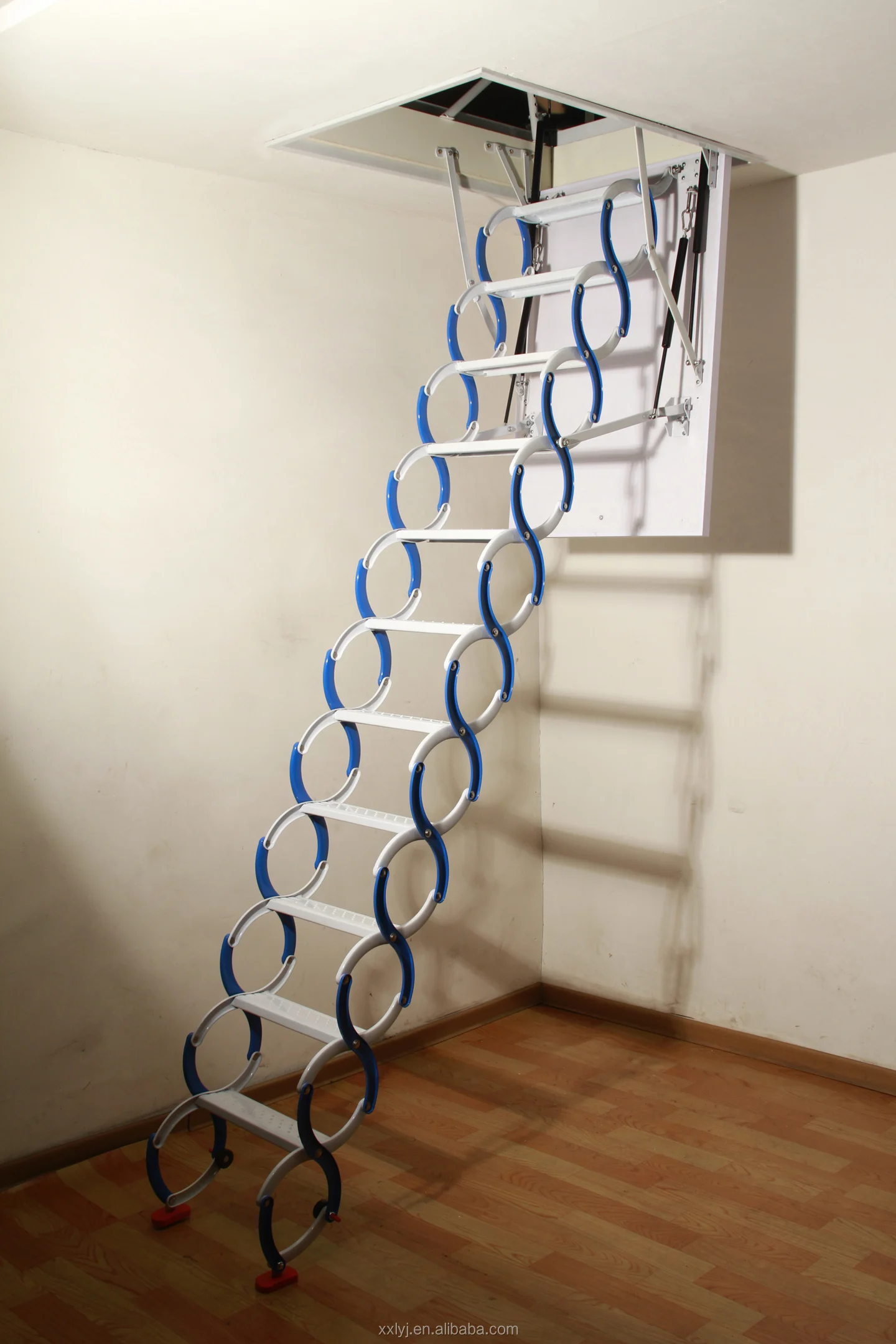 01 (45).jpg