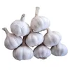6.5 size (cm) organic peel garlic in brine from Chinese exporter