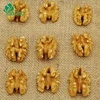 Dried Style and Raw Processing Type Walnuts Kernels Chile Halves Quarters Pieces Extra Light color BRC HACCP Halal Kosher