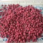 New season crop high quality frozen IQF raspberry fruit
