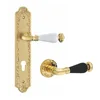 2018 New kind classical Zinc Alloy rosette Door Handle for Interior door