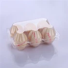 high quality plastic egg boxes packaging 6 holes plastic egg tray for sales