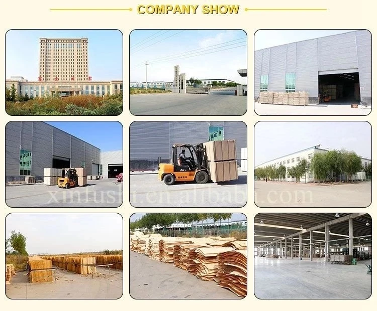 OSHA standard 38*225mm pine LVL scaffolding plank hot sale in dubai from fushi wood group