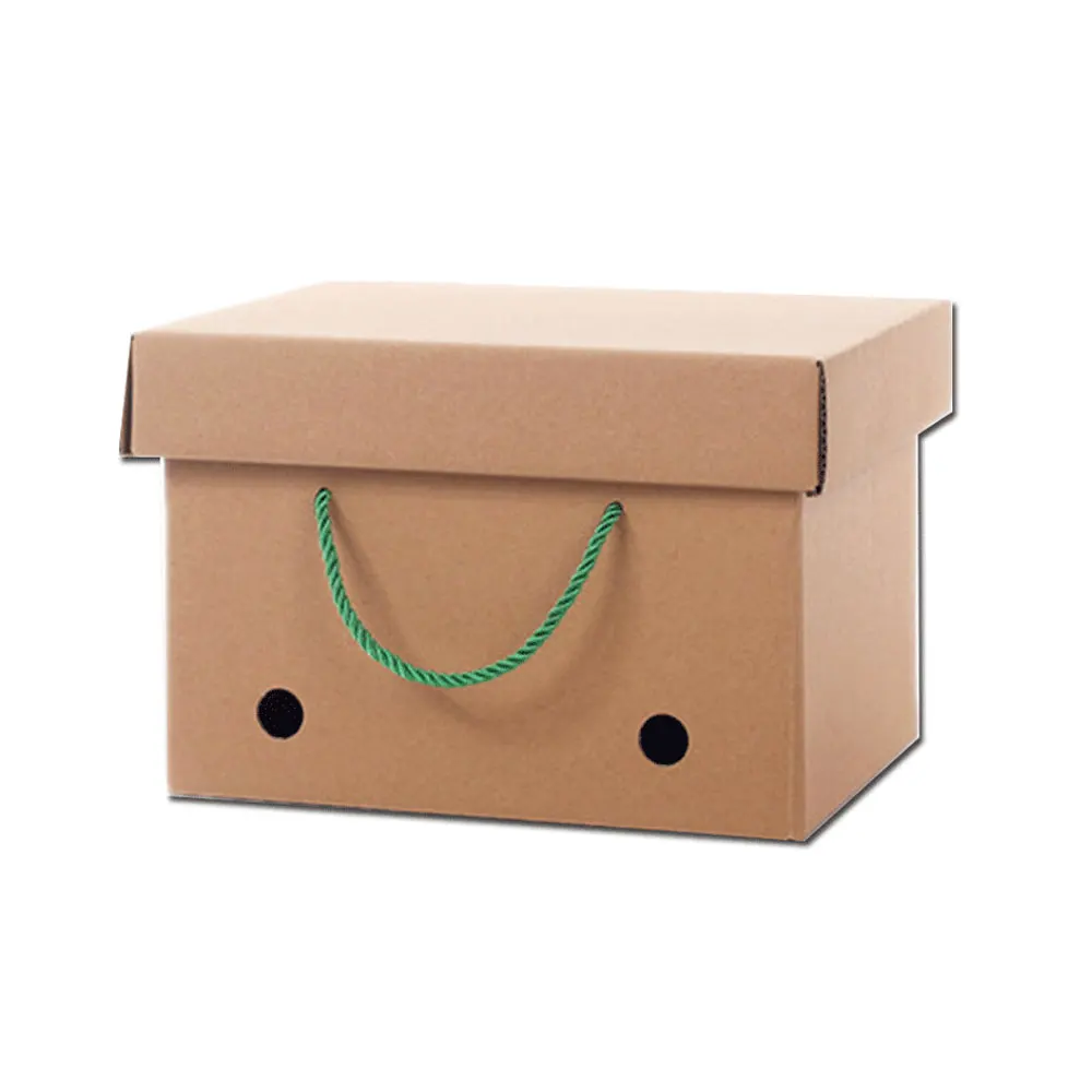 customized strong cardboard paper carton gift box for packaging