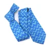 Creative Designer Brilliant Blue Cravatta Seta Wrist Wrist Excellent Custom Logo Silk Printing Ties