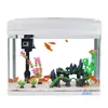 Little Pet Shop Free Sample Aquarium Products Red Sea Live Marine Fish Tank