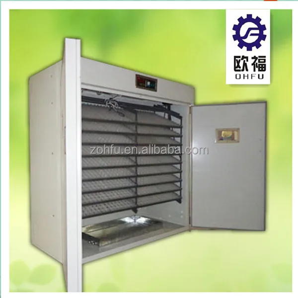 3168 Eggs incubator.jpg
