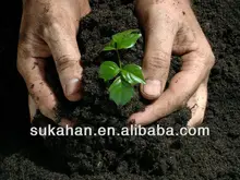 Soil Improvement Biological Fertilizer