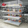 /product-detail/direct-factory-one-day-broiler-chicks-rearing-cages-growing-broiler-chicken-cage-for-sale-a-type-h-type-chick-cage-60455939405.html