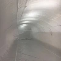 Container Liner PE Polyethlene Rice Grain