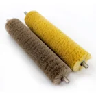 stainless steel shaft nylon/PP brushing roller brush