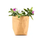 Custom logo Eco-friendly Luxury house and Home flowerpot Multifunction washable kraft paper bag