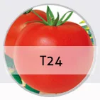 D_02.jpg