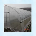 plastic film cover tomatoes tunnel greenhouse for sale