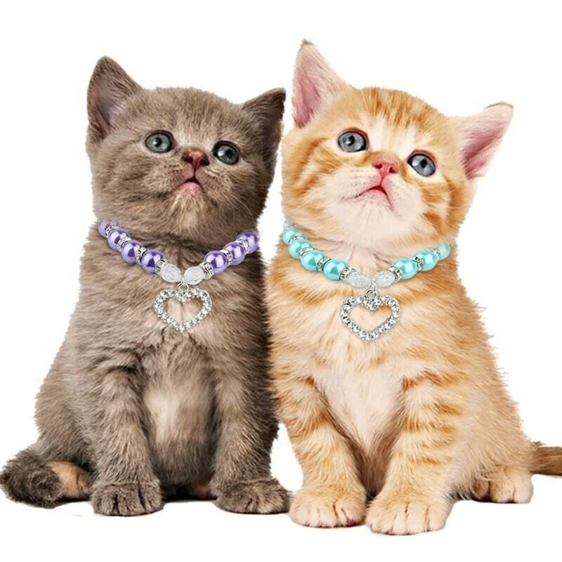 Heyri pet supplies beautiful design bling bling diamond pet pearl necklace collar for dogs cats, Green,pink,purple
Heyri pet supplies beautiful design bling bling diamond pet pearl necklace collar for dogs cats, Green,pink,purple