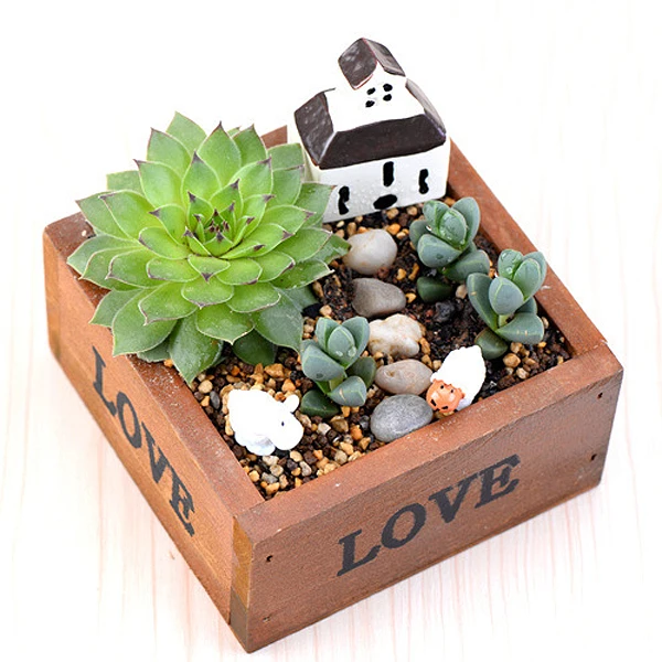 planter pot