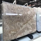 China exotic golden persa granite slabs for sale