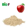 Best price apple juice concentrate powder with free sample/Pure apple juice Powder