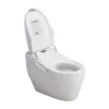/product-detail/automatic-toilet-flush-sanitary-toilet-seat-bidet-toilet-62139941379.html