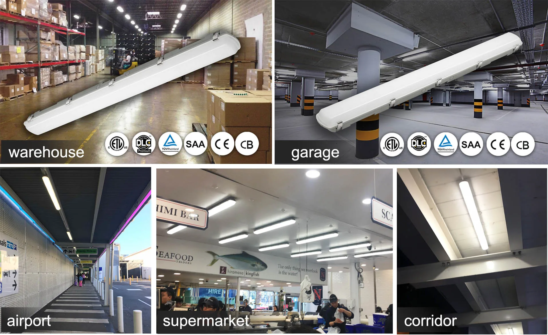 led waterproof light